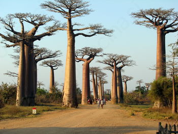 Z Dobena na MADAGASKAR IN REUNION