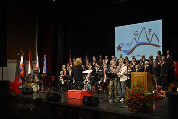 Obletnica osvoboditve Vrhnike