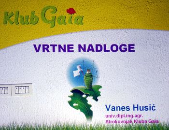 Predavanje KAJ JE NAROBE Z MOJO RASTLINO