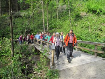 Tivoli, Šišenski hrib in Rožnik z Vandrovkami