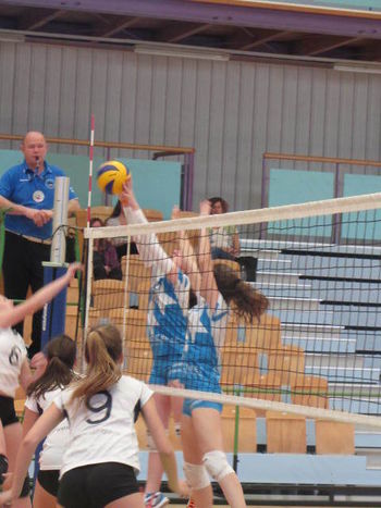 Odbojkarski pokal ostal doma Odbojkarski pokal ostal doma