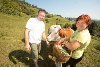 Na Domačiji Vovk si boste lahko ogledali domače živali in kupili lokalne dobrote za domov.