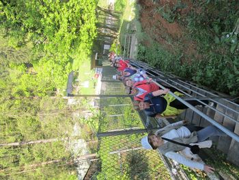 Tivoli, Šišenski hrib in Rožnik z Vandrovkami