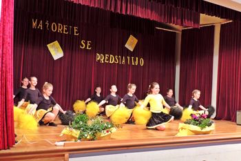 Prireditev Mažoretnega društva Šentjanž