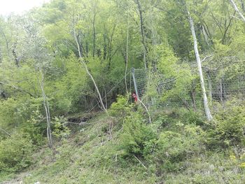 Zaključena sanacija plazu Drežnica in Logje 