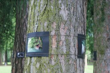 ČIČI – Zmeraj prinesi si koco!