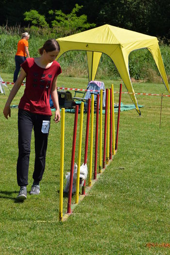 Tekma Agility - KD Ptuj