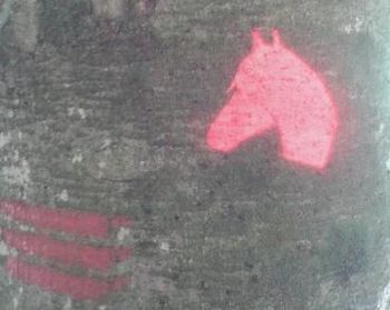 Do konjeniške koče po označeni poti Do konjeniške koče po označeni poti