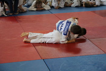 Judo klub Komenda skupno osvojili pokal