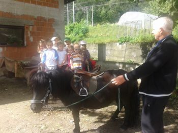 Hi, konjiček, hi!