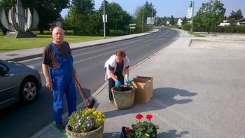 Urejanje cvetličnih korit.