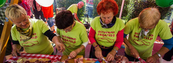8. Festival tržiških bržol