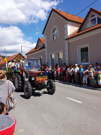 Zeliščarji na holceriji v Vitanju