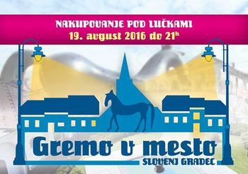 SG FEST v Slovenj Gradcu