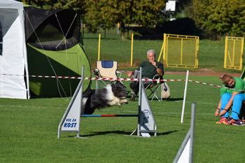 Prva mednarodna Agility tekma