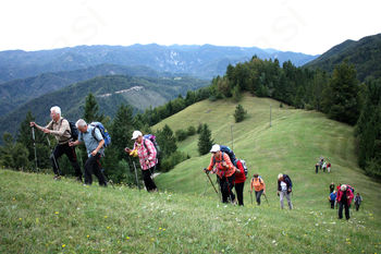 Sončki na Hleviški planini