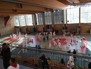 Judo klub Ravne na Koroškem na Pokalu Ljutomera 