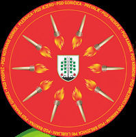 Nevarnost ogljikovega monoksida (CO) in obveznost namestitve senzorja CO