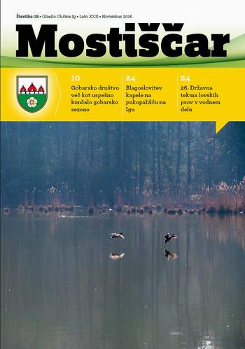Novembrski Mostiščar