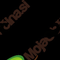 Z brki za zdravo prostato – Movember 