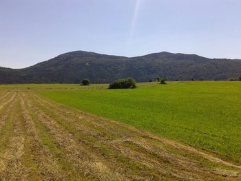 Planinski izlet na Račno goro
