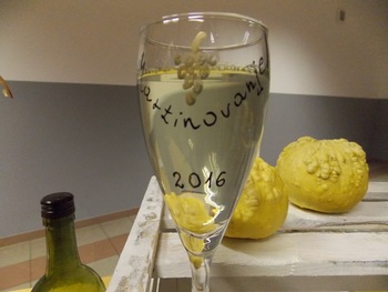 Martinovanje na Srednji Bistrici
