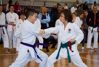 2. POKALNI TURNIR JKA KARATEJA 2016