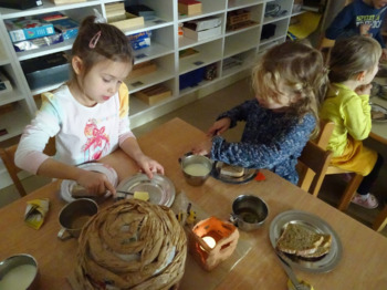 Cepetavčkove novice