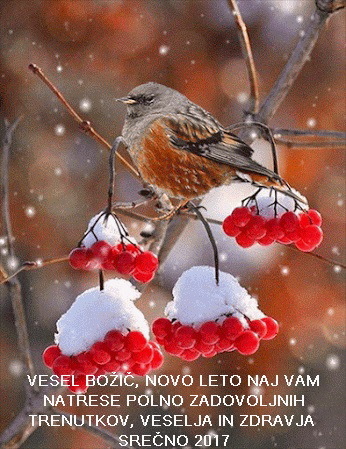 VESEL BOŽIČ IN SREČNO V NOVEM LETU