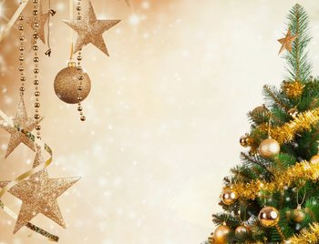 PRAZNIČNI DECEMBER V POLJČANAH - PREDBOŽIČNA TRŽNICA