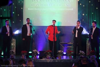 Dani Dandosa in Aeternum prvi na Festivalu Zlatne note
