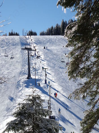 Smučanje z izbranimi "Okusi Rogle" 