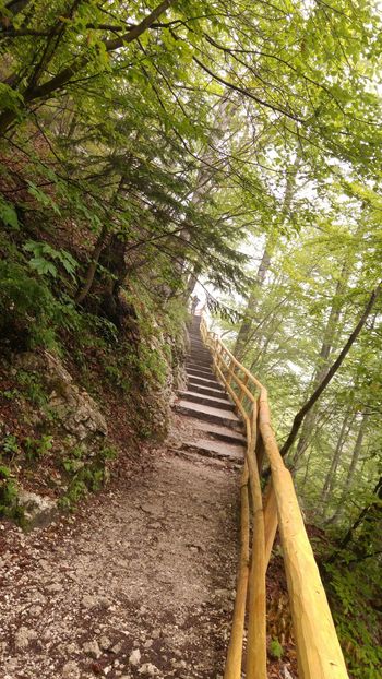 Prenovljena pot do slapa Savice