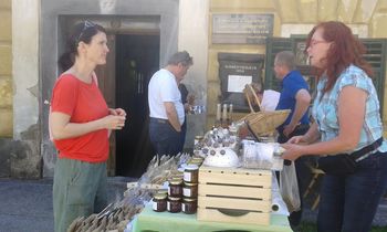 PREDSTAVITEV PONUDNIKOV TIC-a