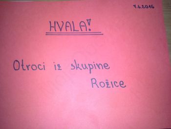 Rožice obiskale PDG Selo