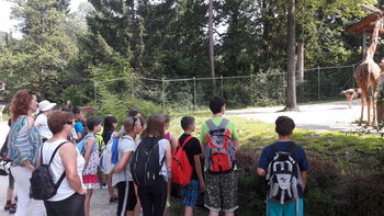 Učenci OŠ Krmelj v živalskem vrtu