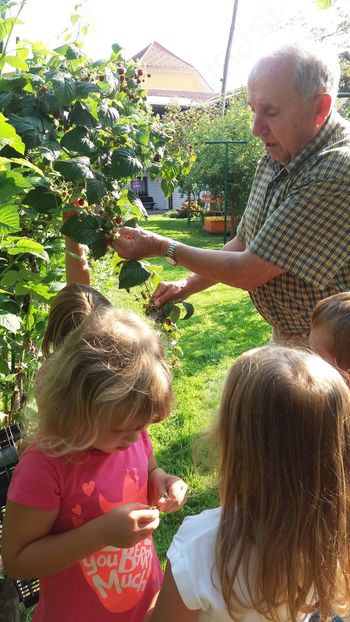 TRGATEV V VRTCU TRGATEV V VRTCU