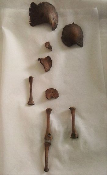 V Krimski jami tudi otroci