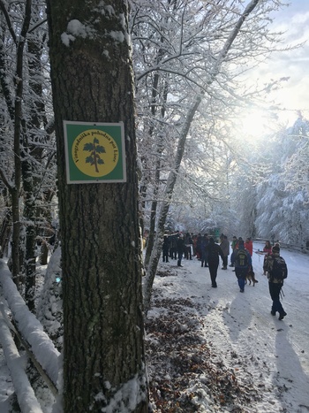 14. vinogradniški pohod na Lisec