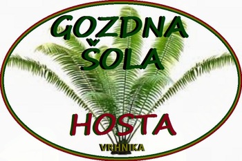 Gozdna Šola HOSTA - Naravni človek