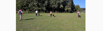 Anketa o sprehajališču in vadbišču za pse v Borovnici