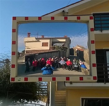 Zimzeleni na Šavrinskem gričevju
