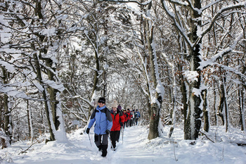 Sončki na Magdalenski gori in Pugledu