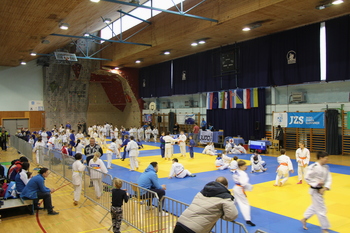 MEDNARODNI JUDO POKAL GUŠTANJ 2017 – LUKŠIČU ZLATO