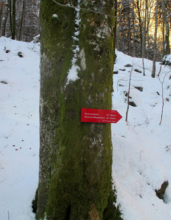 FOTOREPORTAŽA : Izlet PD Podpeč Preserje na Lanževico  29. 1.2017
