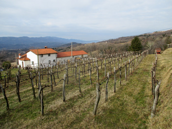 FOTOREPORTAŽA : Izlet PD Podpeč Preserje na Kucelj 19. 2.2017