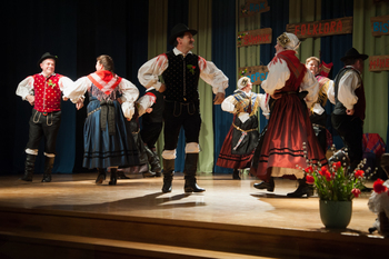 Veseli čas prihaja, območno srečanje folklornih skupin