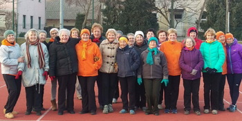 Prva obletnica telovadbe 1000 gibov v Radovljici