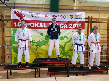 Mednarodni karate pokal Žalca