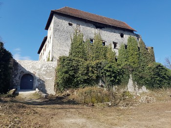Po Trški gori do Hmeljnika